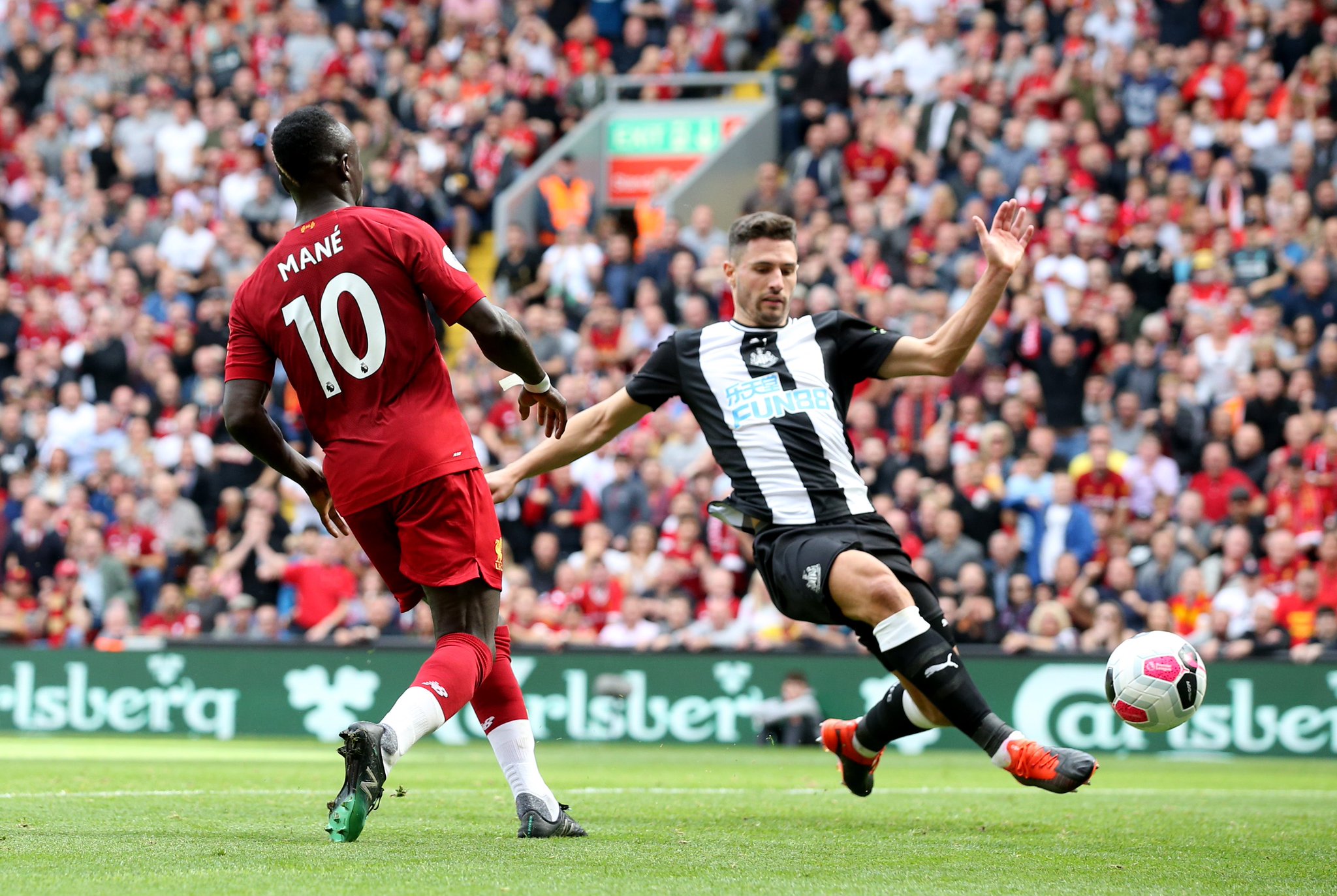 意引进布伦 意引进布伦