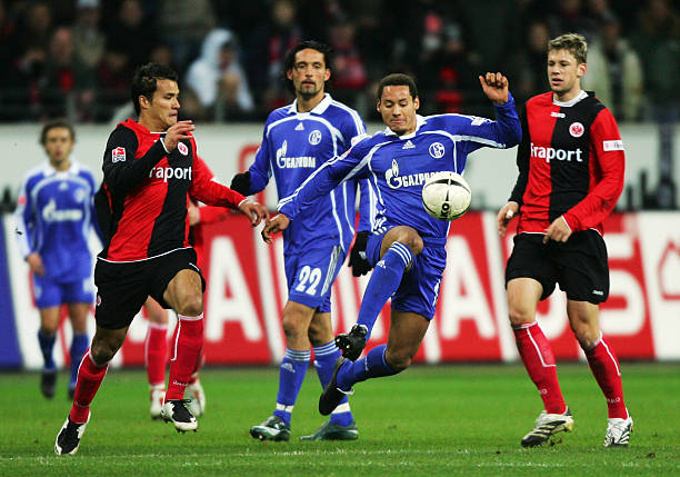 这不仅增添 这不仅增添